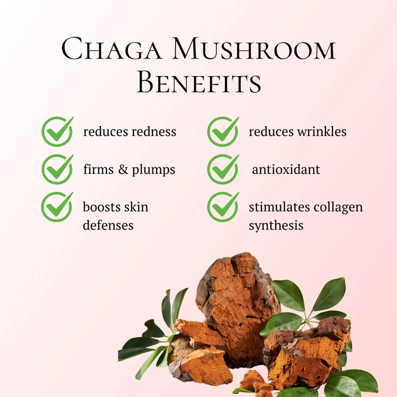 Chaga Mushroom Face Cream - Image 5